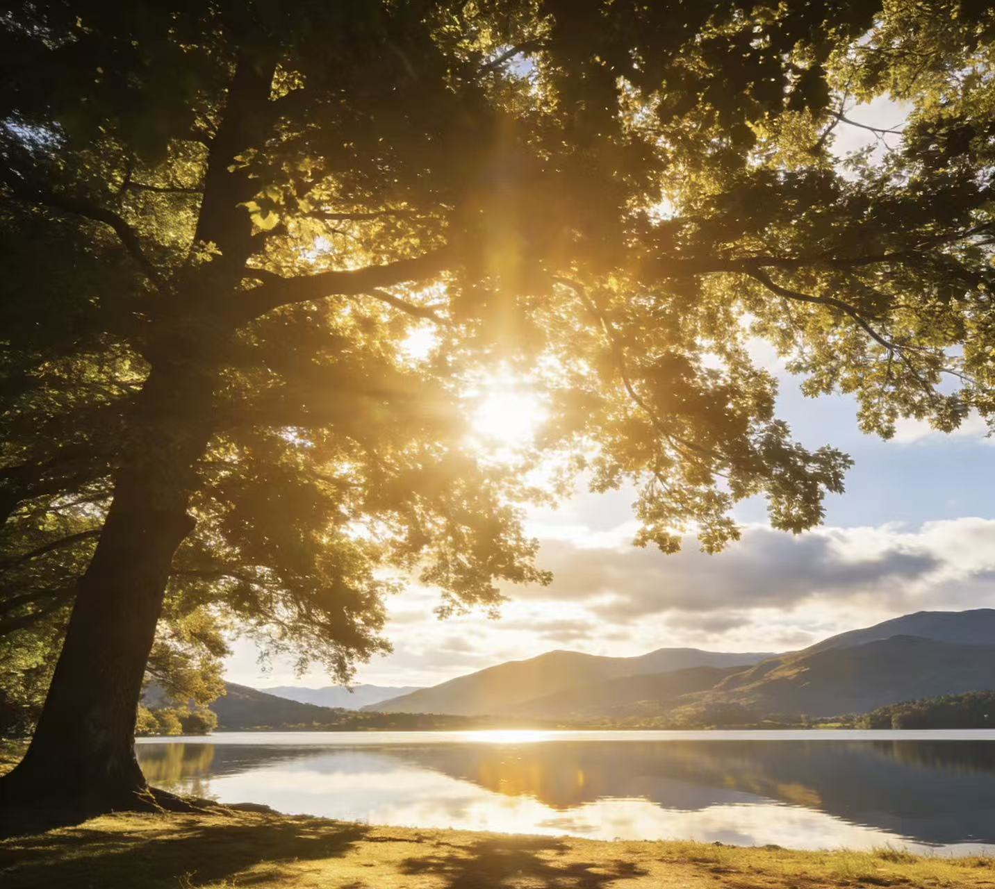 中力数智工厂落地 机械制造企业数智化转型见效--沐鸣娱乐